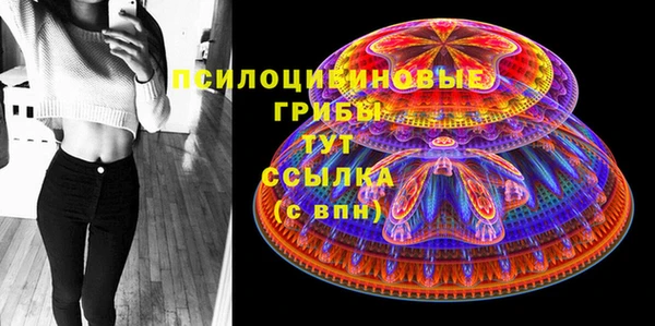 спайс Бородино