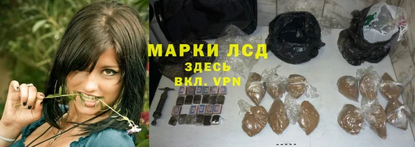 спайс Бородино